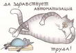 Аватара пользователя